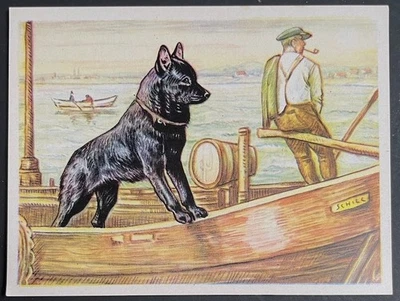 Торговая карточка с собакой SCHIPPERKE Austria Tobacco Company Bildwerk 1952 - Изображение 1 из 2