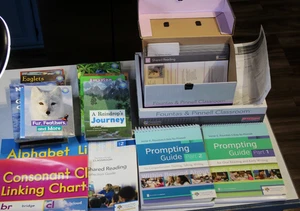 Fountas & Pinnell Classroom Grade 2 Reading Literacy 84 book Guided Lesson Plan - Picture 1 of 11