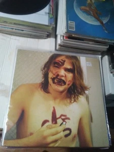 Ariel Pink’s Haunted Graffiti - Lover Boy 2x vinyl LP [2009] RARE VG+ - Bild 1 von 2