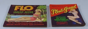 Pinup Girl Fruit Labels 100 FLO Indian River Citrus 80 Plenti Grand Vegetables - Picture 1 of 5
