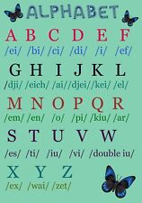 English Alphabet for Kids Transcription Laminated Flash Card Poster A4 EYFS