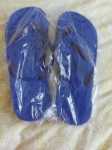 Classic Flip FlopsSlipper - Picture 1 of 5