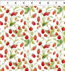 Wild Strawberries "Hedgehog Hollow" Fabric BY THE HALF YARD In the Beginning - Picture 1 of 1