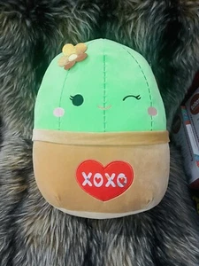 Nuevo juguete de peluche Squishmallows Shadi the Cactus 2023 verde 12 pulgadas - Imagen 1 de 6
