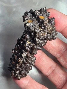 Piedra de Profecía Grande 3.3" 101g Z "Varita de Maza" Egipcia Tercer Ojo Futuro - Imagen 1 de 24