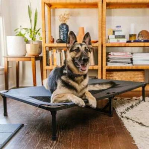 Lucky Dog™ 48'' Elevated Pet Bed Comfort Cot - Gray - Picture 1 of 13