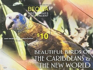 BEQUIA BEAUTIFUL BIRDS OF THE CARIBBEAN STAMPS S/S MNH 2016 BIRD AMAZON PARROT - Picture 1 of 1