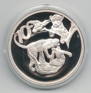 SOUTH AFRICA SILVER PROOF 10 CENTS COIN 2004 YEAR KM#360 LEOPARD - Picture 1 of 1
