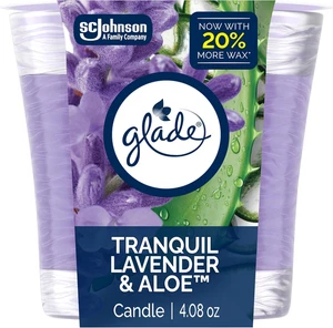1-Wick Scented Candle Jar, Tranquil Lavender & Aloe, Air Freshener Infused with - Picture 1 of 12
