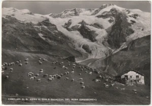 GRESSONEY - AOSTA - CASOLARI DI ST. ANNA E GHIACCIAI DEL ROSA - VIAGG. -52731- - Picture 1 of 1