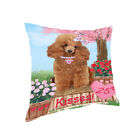Rosie 25 Cent Kisses Dog Cat Pet Throw Decorative Travel Pillow 14x14 In