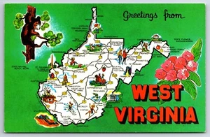 WEST VIRGINIA  Mountain State Cartoon Greetings postcard D6 - Picture 1 of 2