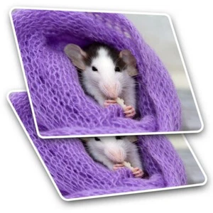 2 x Rechteck Aufkleber 7,5 cm - Flauschig Haustier Ratte Maus Nager Essen Cool Geschenk #21 - Bild 1 von 9