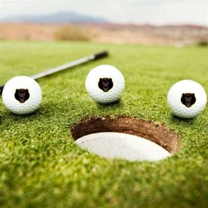 Baylor Bears Golf Balls - Set of 3 - Picture 1 of 1