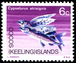Cocos Keeling Islands 1969 6c Flying Fish MNH - SG 13 - Picture 1 of 1