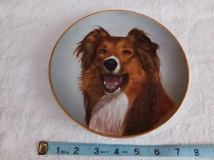 Rough Collie Collector Plate Kaiser Porzellan Germany Porcelain - Picture 1 of 10