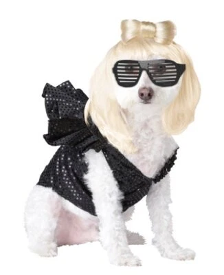 Sensación Pop Dama Gaga Estrella de Rock Lindo Vestir Halloween Mascota Perro Gato Disfraz Foto 1 de 2