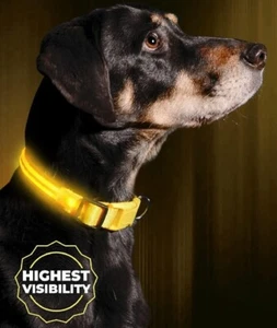 Illumiseen LED Dog Collar USB Rechargeable Yellow Lighted Glow Collar Large New - Picture 1 of 9