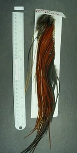 Sillín Whiting Brown 1/2 Midge separado de la introducción Hackle Pack lote-SF 100 - Imagen 1 de 8