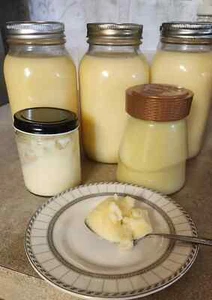 100% Organic Beef Tallow From Family Owned Small Farm - Picture 1 of 4
