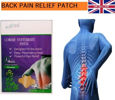 Back Pain Relief Patch Lumbar Spine Moxibustion Wormwood Moxa Patches X 12pcs UK