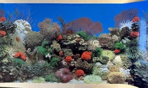 Fish Tank Double Sided Plant Background Backing Full Roll 39.4cm Tall - Picture 1 of 2