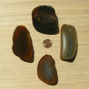 4 braune Achat Kristall Geode Scheiben poliert Endschliff Steine abgerundete Rückseite 9 Unzen Posten - Bild 1 von 5
