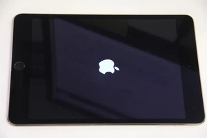 Apple iPad Mini 4 Space Gray A1538 16GB Excellent Condition TESTED - Picture 1 of 4