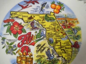 Piatto ceramica souvenir Florida vintage bordo oro mappa piatto decorazione parete - Foto 1 di 3