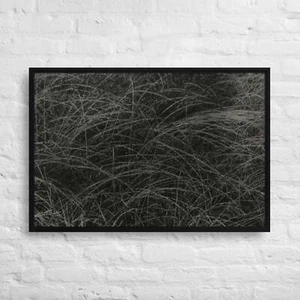 Equivalent (1927) by Alfred Stieglitz 36x24-Framed Canvas Print - Picture 1 of 1