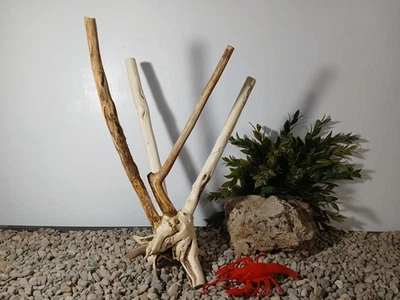 Driftwood aquarium fish & reptiles 11x14" natural stump formation - Image 1 of 4