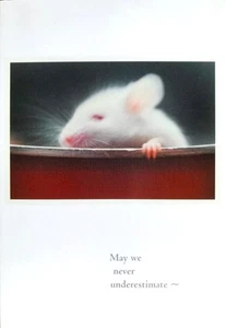 SUPPORT / ENCOURAGEMENT CARD "Never Underestimate Power of Faith & Persistence" - Picture 1 of 2