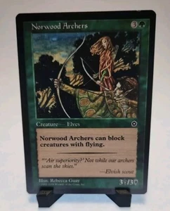 MTG Norwood Archers LP - Picture 1 of 2