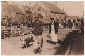 CHIPPING CAMPDEN RP - Mercado de Ganadería con Cerdos - SIN TÍTULO Brillo. - ref.230 - Imagen 1 de 2
