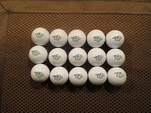 LOGO GOLF BALLS-(15) NHL.....NASHVILLE PREDATORS.............NEW!!! - Picture 1 of 1