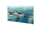 Acrylglasbild Wandbild Plexiglas Neuseelndischer Pinguin 120x60 cm