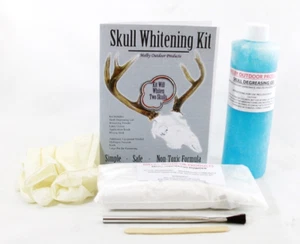 European Skull Whitening Kit Hunting Trapping Supplies Melby Outdoor  - Picture 1 of 7