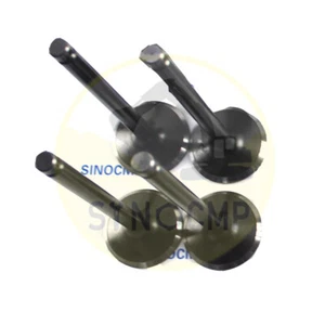 Gasket Kit & 2x Intake & Exhaust Valve for Mitsubishi 6D14 6D14T Engine Fuso - Picture 1 of 4