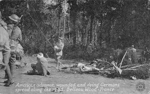 CHICAGO DAILY NEWS KAVANAUGH PRIMERA GUERRA MUNDIAL POSTAL HERIDOS ALEMANES MADERA DE BELLEAU 070925 U - Imagen 1 de 2