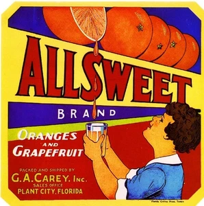 f17Plant City Florida AllSweet Orange Citrus Fruit Crate Label Fridge Magnet - Picture 1 of 1