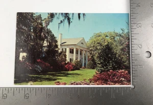 Alte Postkarte weiße Säulen Südliches Herrenhaus - Bild 1 von 2