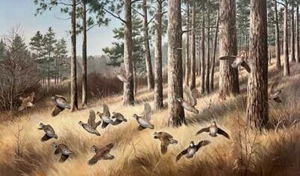 Maynard Reece - Out of the Pines Bobwhites - guter Zustand - S/N Litho - signiert - Bild 1 von 1