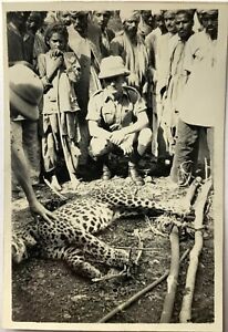 1930s British Army Officer and Leopard, India Photo 8x5.5cm (O)
