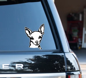 Chihuahua Hund kleiner Hund Liebhaber Aufkleber Sticker Auto Van LKW, beste Freundin - Bild 1 von 3