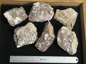 Wild Horse Magnesite 13lb Rough High Grade Awesome Spiderweb Pattern Arizona Gem - Picture 1 of 16