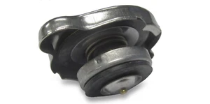 Tapa radiador de repuesto nueva Polaris (2020-2024) RZR 1000 Pro XP XP4 1241379 - Imagen 1 de 6