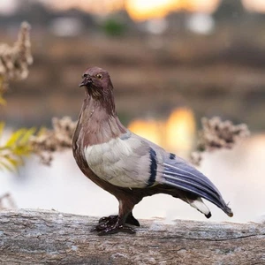 Simulation Foam Pigeon Bird Garden Ornament for Photography Photo Props - Picture 1 of 11