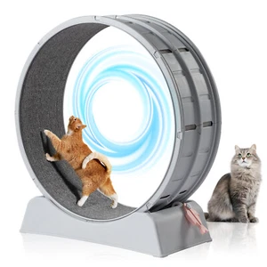 Cat Exercise Wheel, 31 inch Cat Wheels for Indoor Cats - Picture 1 of 12