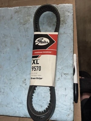 PUERTAS, RAYAS VERDES, CINTURÓN EN V APAREJO XL; P/N 9570. Foto 1 de 4