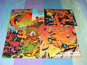 Konvolut Hörspiel LP's Tarzan nach Edgar Rice Burroughs von 1975 von Fontana! - Bild 1 von 2